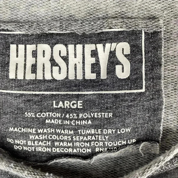 Hershey park Gray Hooded sweatshirt Size Large - Picture 3 of 6